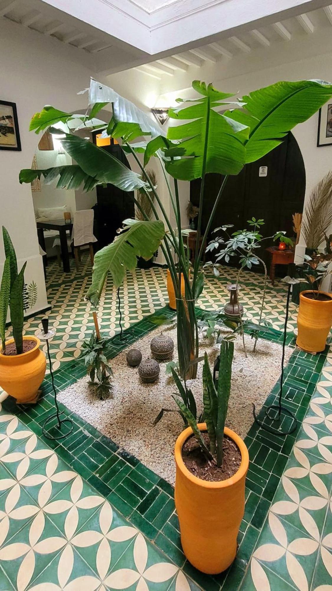 Riad Ocean Medina Essaouira Exterior photo